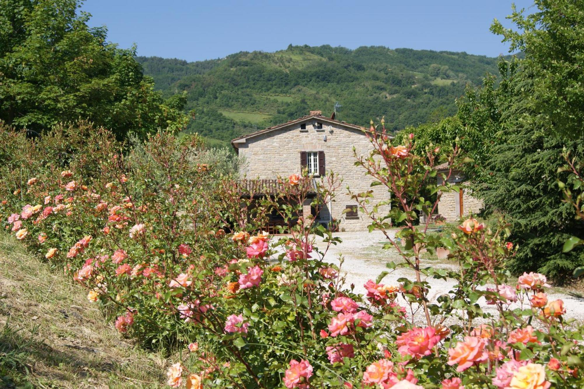 Agriturismo Corte Dei Mori Brisighella Luaran gambar