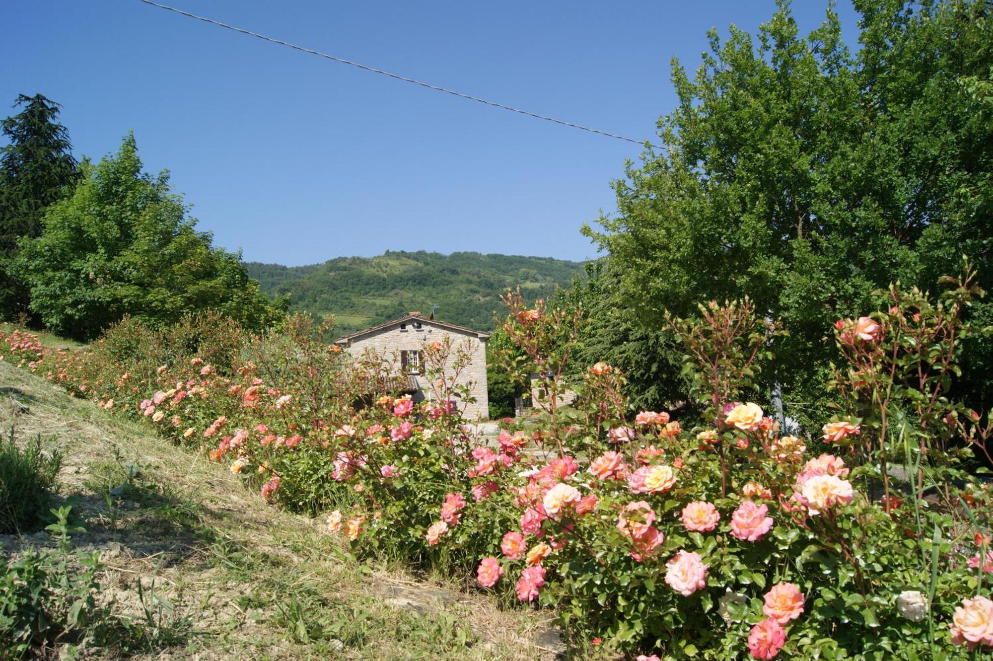 Agriturismo Corte Dei Mori Brisighella Luaran gambar